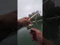 雨中訊號 #鹽巴嚴選