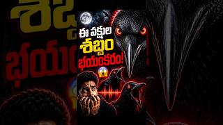 ప్రపంచంలోనే భయంకర పక్షుల శబ్దాలు! | World lo Most Scary Bird Sounds #shorts #facts #naturefacts