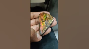 ammonite #fossil #fossils #ammonites  #paleontology #jurassic #ammonitefossil #dinosaur #nature