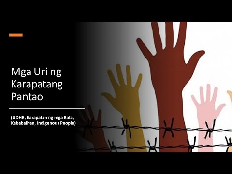 Video: Ano ang ginawa ng Deklarasyon ng mga Karapatan ng Tao?