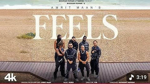 FEELS (OFficial Adiuo) - AMRIT MAAN -BHUSHAN KUMAR