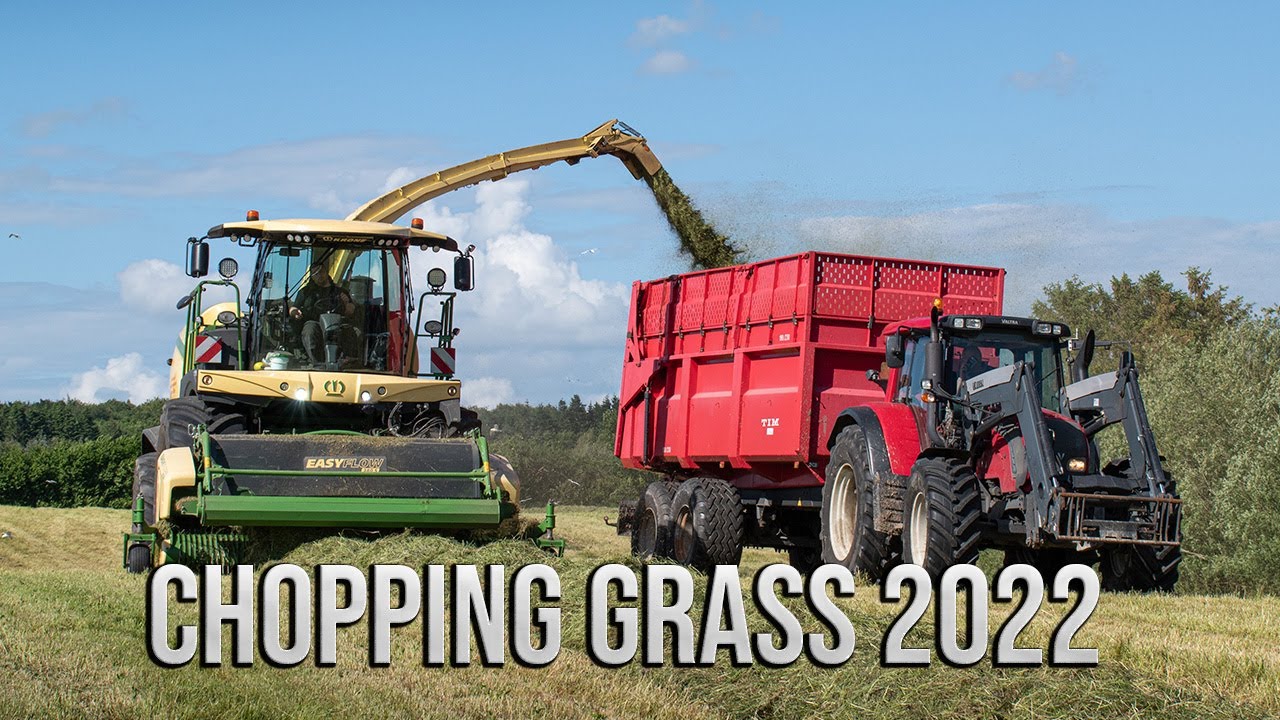 Chopping Grass 2022 I Grønnemosegaard