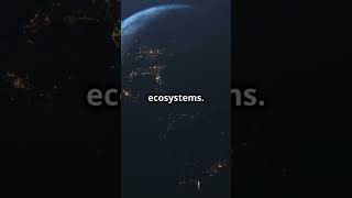 What if Earth had two suns #cosmicexploration #astrophysics #cosmicscience