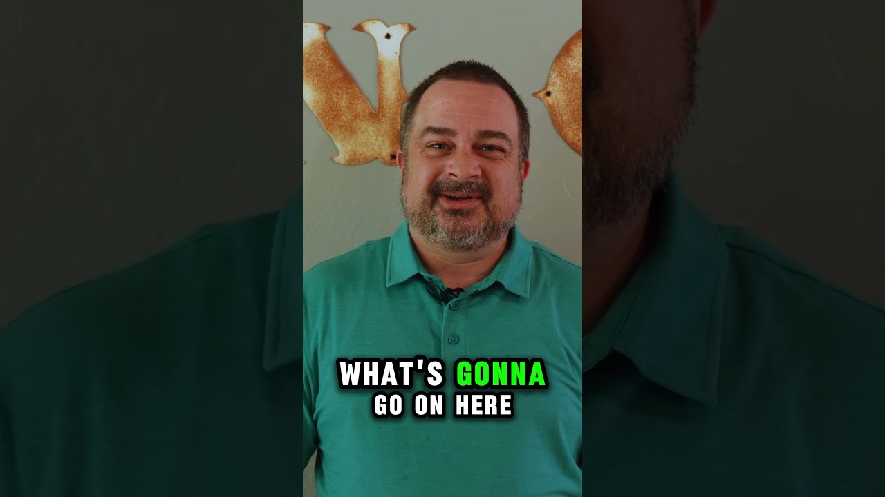 Meet Bean City Manager Ben! 