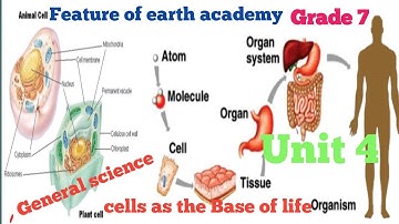 Grade 7 General science unit 4 part 1, 4.1  microscope