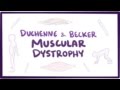 Duchenne & Becker muscular dystrophy - causes, symptoms, treatment & pathology