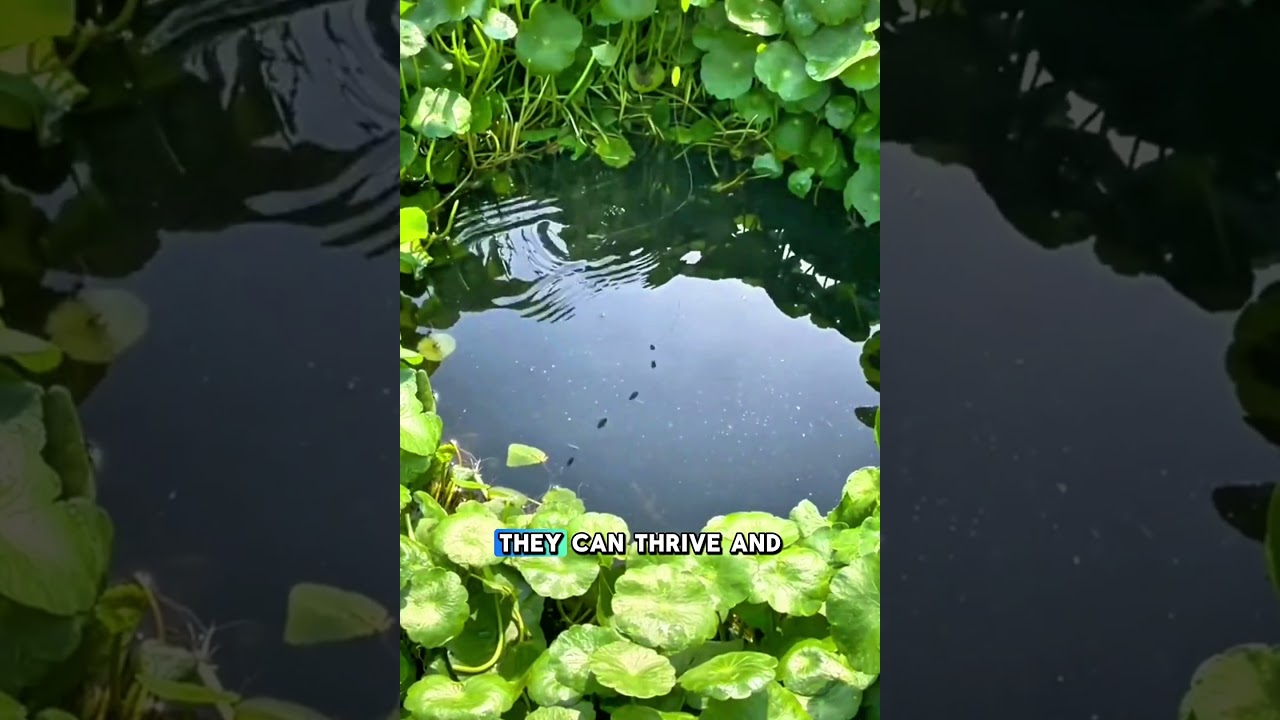 Secret SWAMP Fishing Trick – Catch More Fish Instantly! 🎣🔥