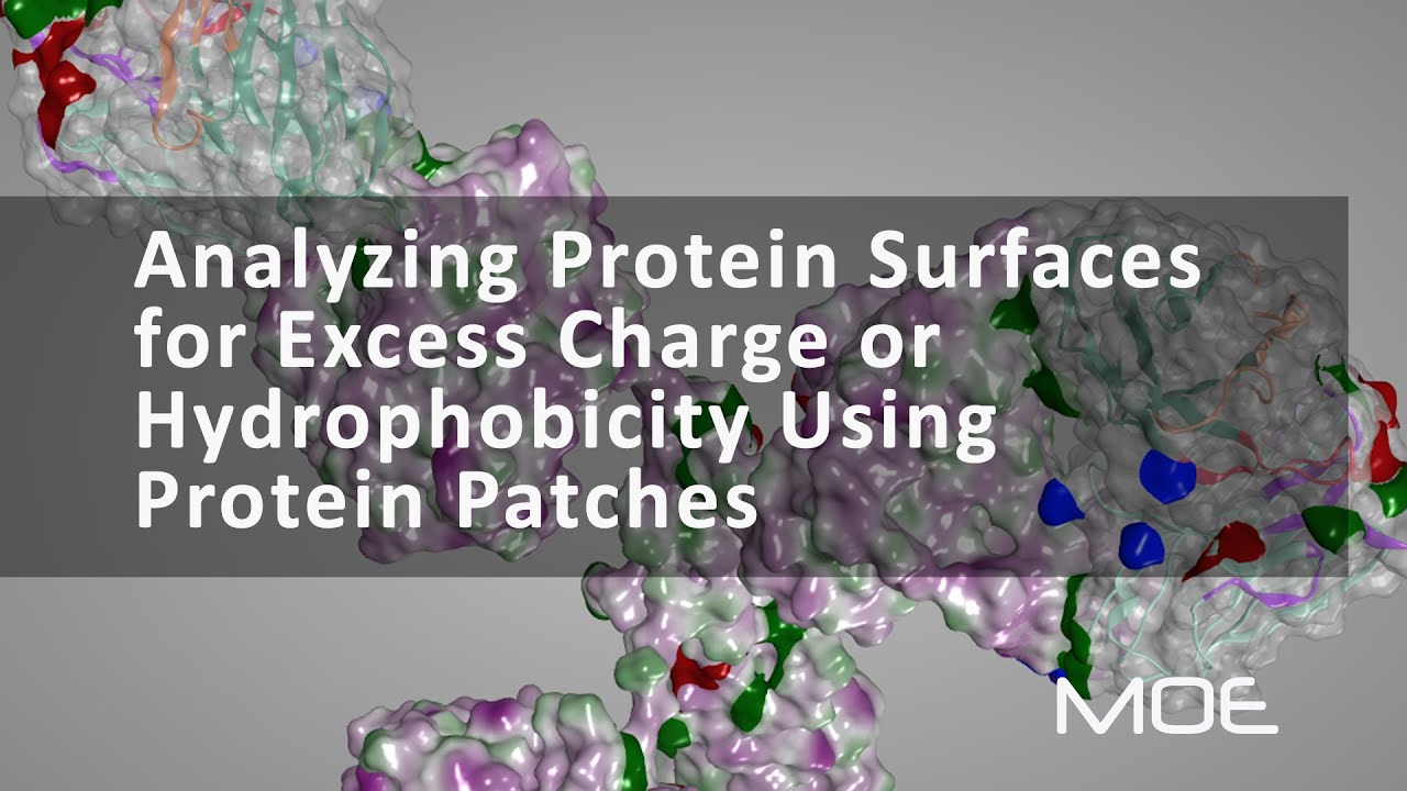 Analyzing protein surfaces for excess charge or hydrophobicity using Protein Patches