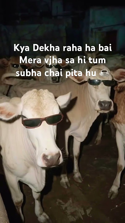 #jiskeaanesemukammalhogayithizindagisong #bollywood #bollywoodsongs #hindisong #trending #viral #plz