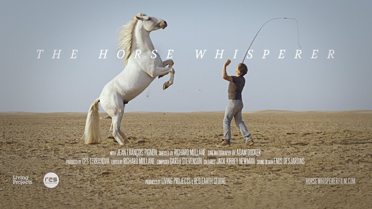 The Horse Whisperer Stream The Horse Whisperer Stream