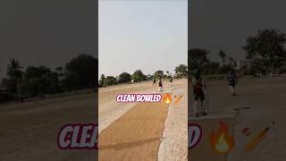 Clean Bowled 🔥🏏 #cricket #short #bowlervibes #bowled #out #cricketshorts #trend #viral #video #reels
