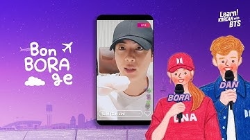 EP 10. We ate delicious Hwe(Korean raw fish). | Bon BORAge | Learn! KOREAN with BTS