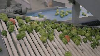 EE - bellpepper packaging