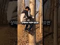 앉아서 나무 타기