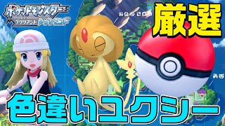 【ダイパリメイク】伝説厳選！ずぶとい色違いユクシーを狙いつつ雑談しよう【ポケモン BDSP ブリリアント ダイヤモンド パール】