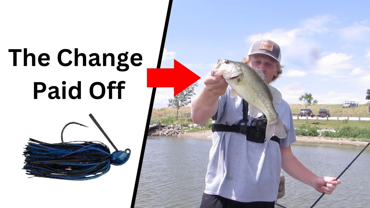Post Spawn Bass Fishing//Different Baits and Techniques Bass Manager The Best Bass Fishing