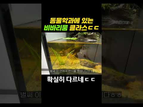수도권 대학교 <strong>비바리움</strong> 클라스 대단하네요ㄷㄷ