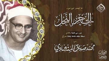 الحجر والنحل 🔰 من روائــــــع التلاوات ##النادرة 🔰 يزهر منها القلب 💖 HQ