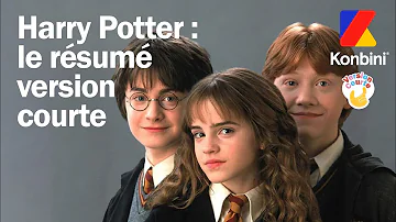 Qui est Harry Potter résumé ?