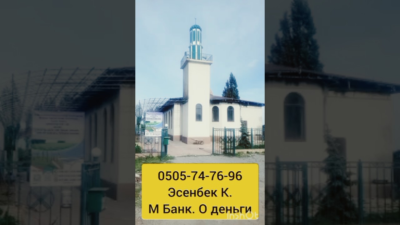 Мадина мечити 