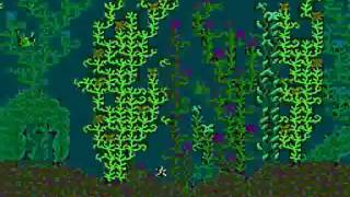 King Neptunes Adventure Usa Unl