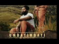 Big Zulu f.t Sjava Umbayimbayi [Official Audio]