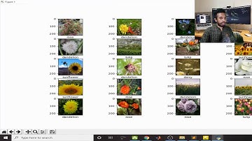 Training Large Vgg16 Model and Predicting the Results using Model for Flower Classification