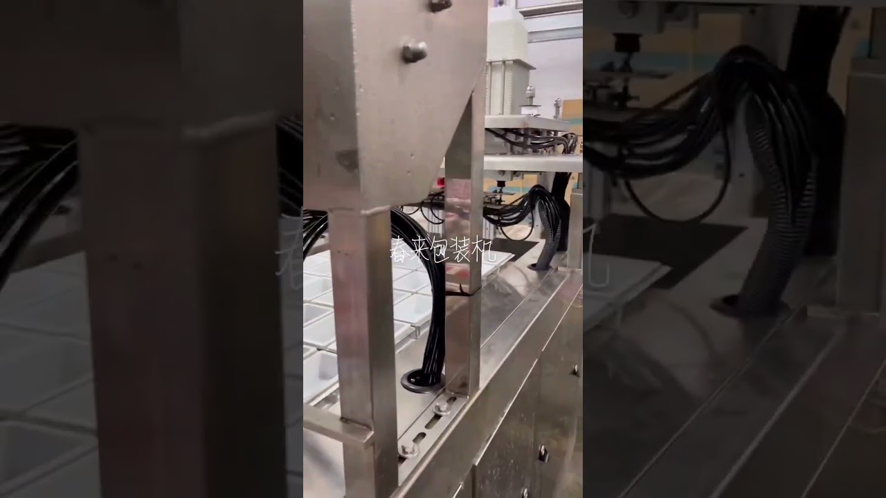 tofu box filling sealing machine