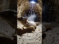 Sand Lizard POV Inside Underground Tunnel 🦎 Real Micro Camera Footage | Hidden Desert World Revealed