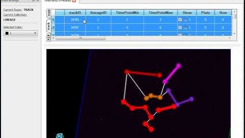 GoFigure2 - Lineages