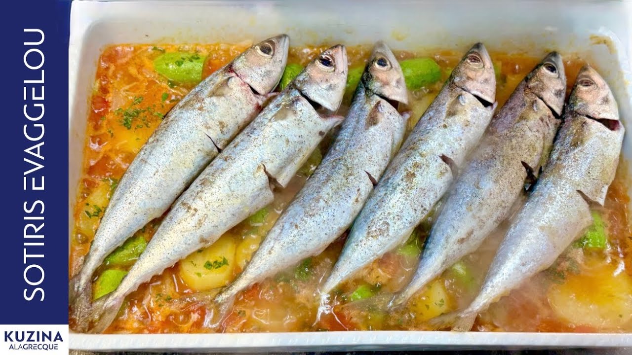 Κολιός Πλακί | Sotiris Evaggelou 