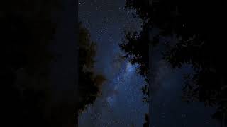 La Verbena,,Vallenar, Atacama, Chile #milkyway #nightsky #atacama #atacamadesert