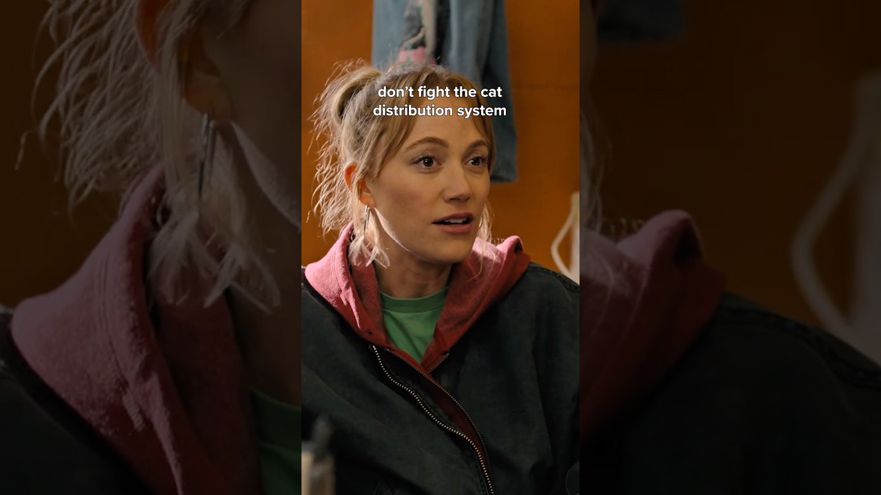 don't question the cat distribution system