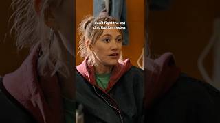 don't question the cat distribution system 💛