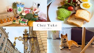 【vlog】フランス在住日本人の１日 料理 犬の散歩 お買い物 フランスに住んでいる理由