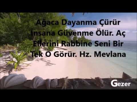 Ağaca Dayanma Çürür İnsana Güvenme Ölür. Aç Ellerini Rabbine Seni Bir Tek O Görür. Hz. Mevlana