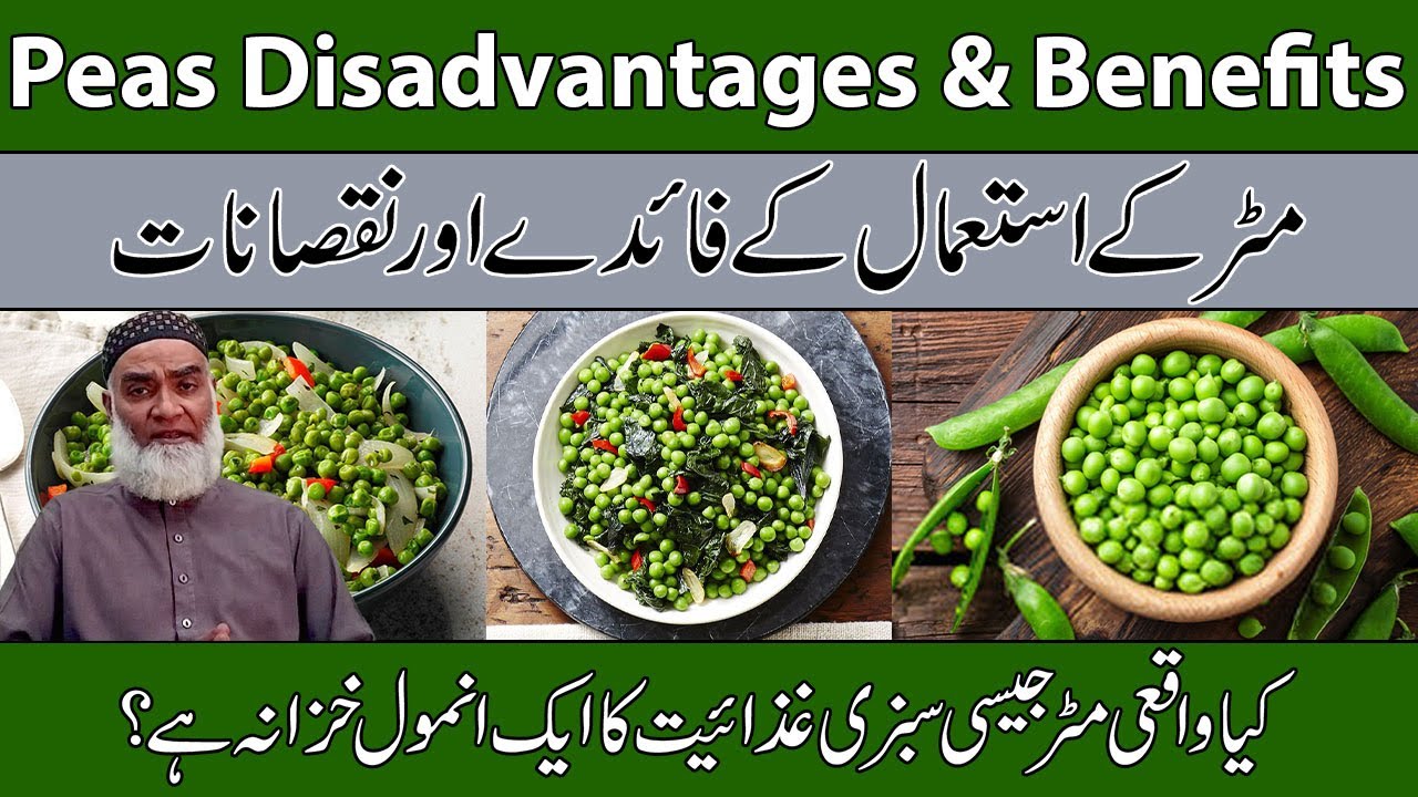 Green Peas Benefits & Disadvantages Urdu/Hindi Matar Ke Fayde Aur