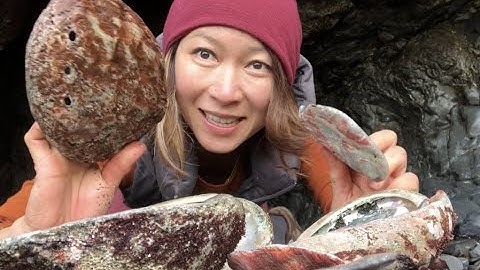 Abalone shell inspirations