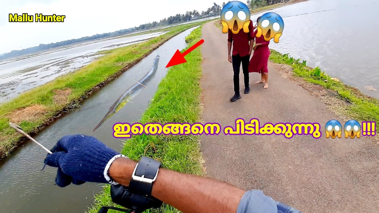 ഇങ്ങനെയും മീൻ പിടിക്കാൻ പറ്റുമോ 😱😱😇 | Mallu Hunter Kerala | Slingshot fishing