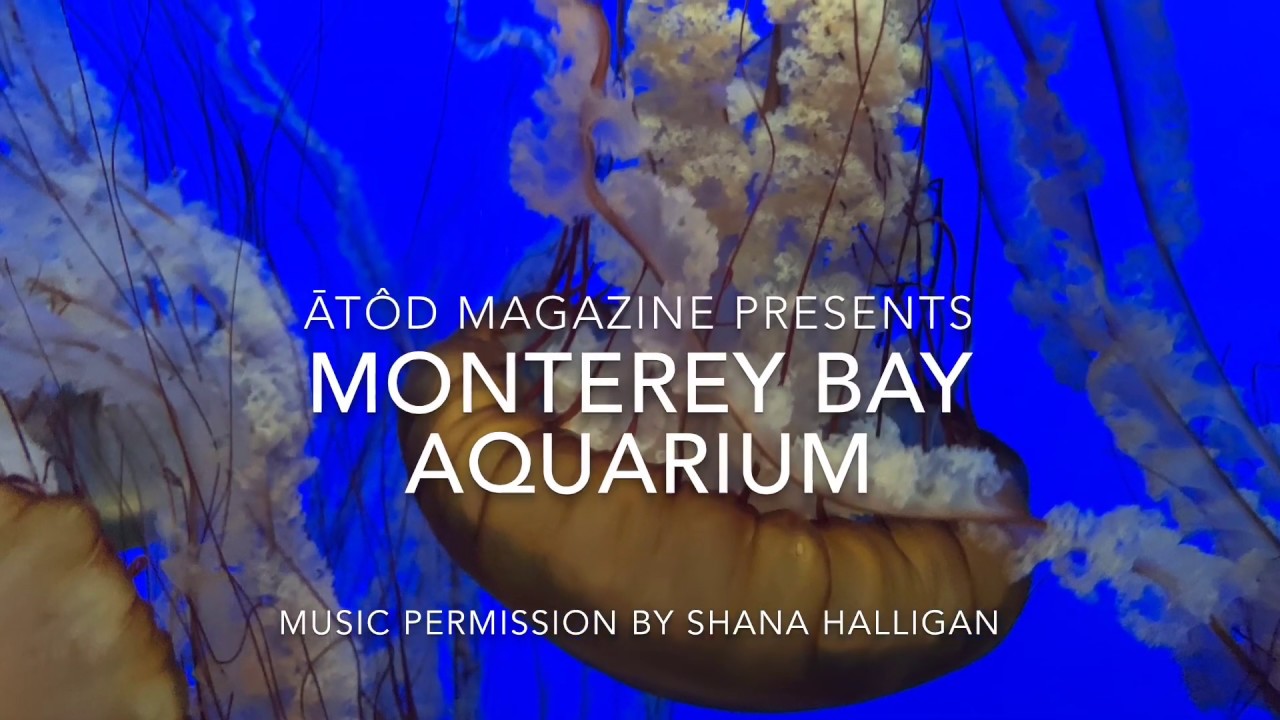 Monterey Bay Aquarium