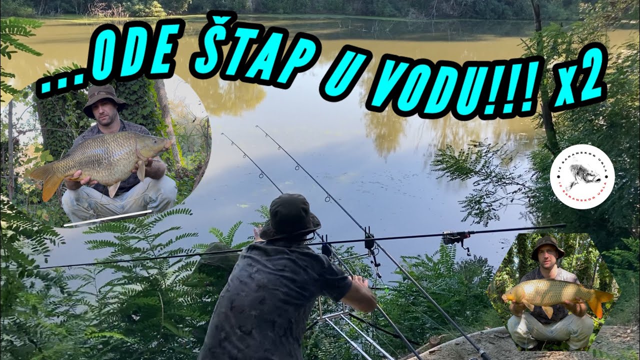 KAD ŠARAN SA TIGROVIM ORAHOM POKUPI I ŠTAP!!! LUDO JUTRO NA RECI