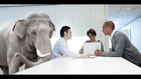 Data Quality - The Elephant in the Room