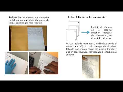 Video: Sistemas de archivo: las principales características de la organización