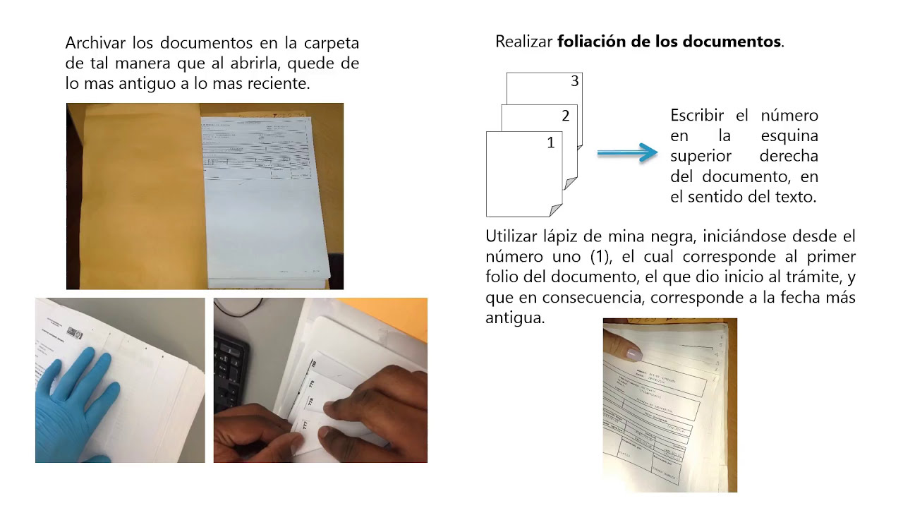 Származás Illatos Fényes formas de archivar documentos en una empresa ...