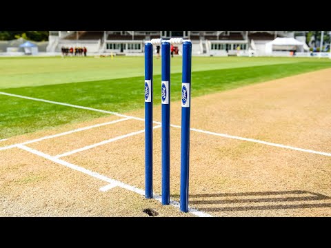 FULL MATCH LIVE COVERAGE | Wellington Firebirds v Auckland Aces