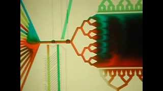 Microfluidic Perfusion Device with Microvalves [Folch Lab]