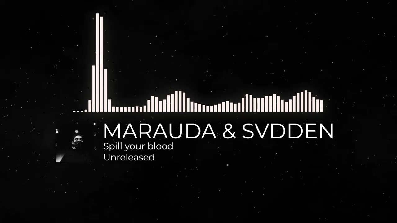 MARAUDA & Svdden Death - spill your blood [unreleased]