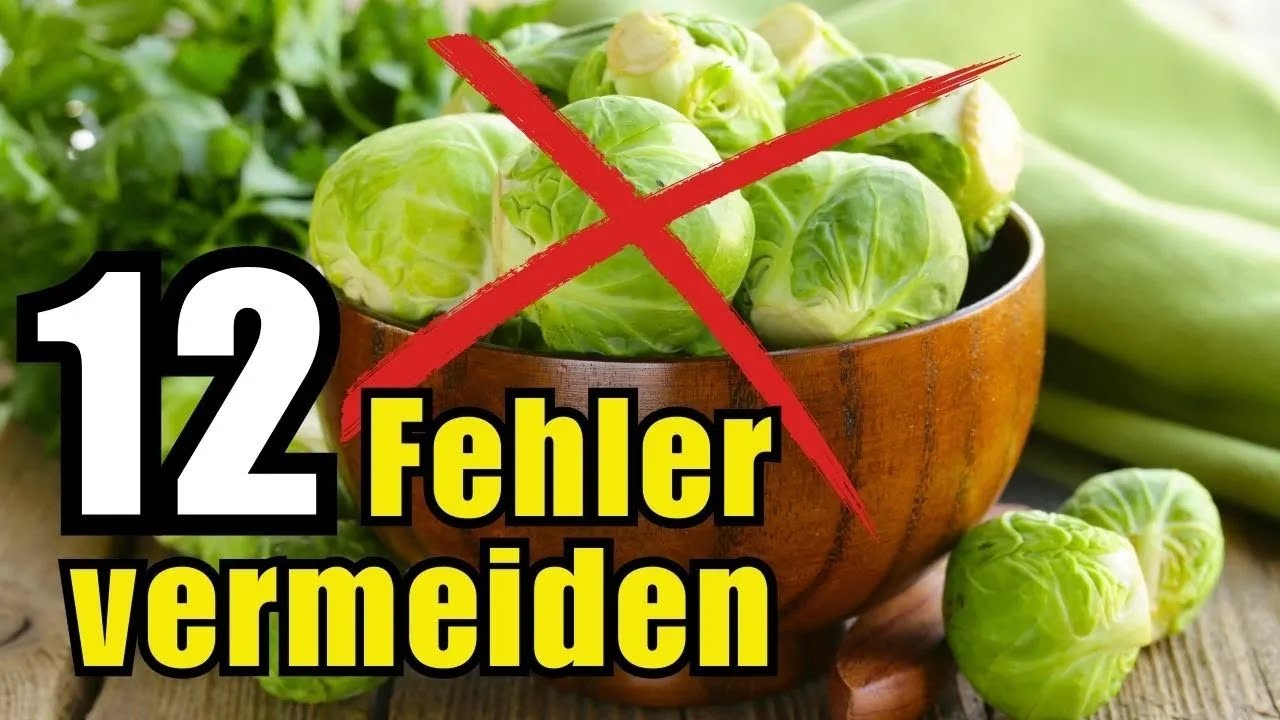 Vermeide diese 7 fatalen Fehler beim Rosenkohl – so wird er perfekt!