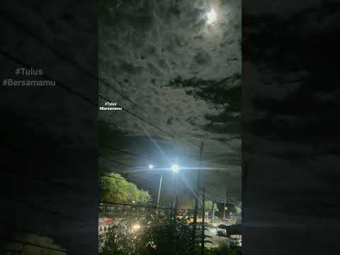 Bersamamu 💞 | Tulus – Lagu Tentang Cinta yang Sederhana Tapi Dalam #fypage #musikindonesia