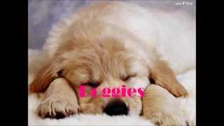 10 Things Girls Like